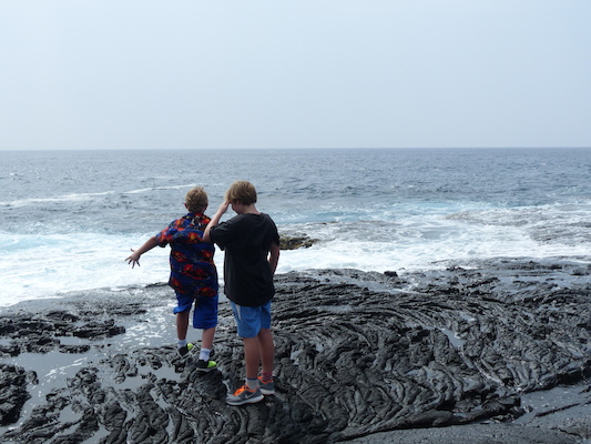 P1060519 (02-18-2017 12:44)