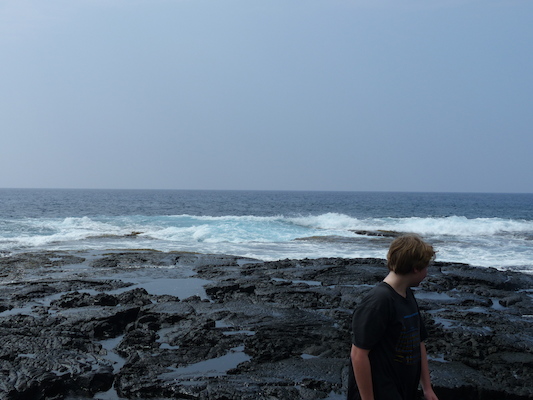 P1060520 (02-18-2017 12:44)