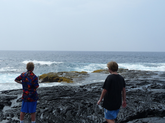 P1060521 (02-18-2017 12:44)