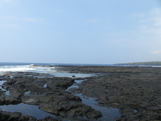 P1060522 (02-18-2017 12:45)