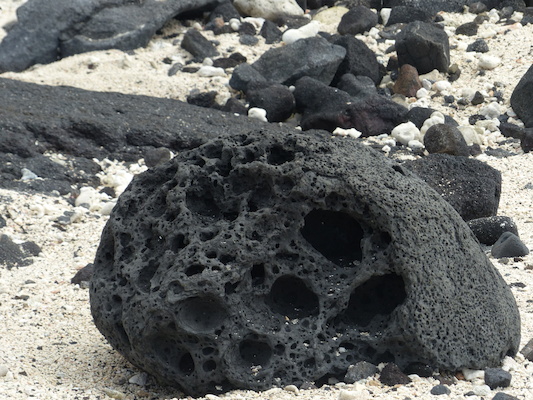 P1060523 (02-18-2017 12:47)