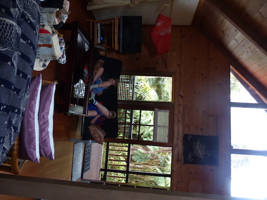 P1060529 (02-18-2017 17:08)