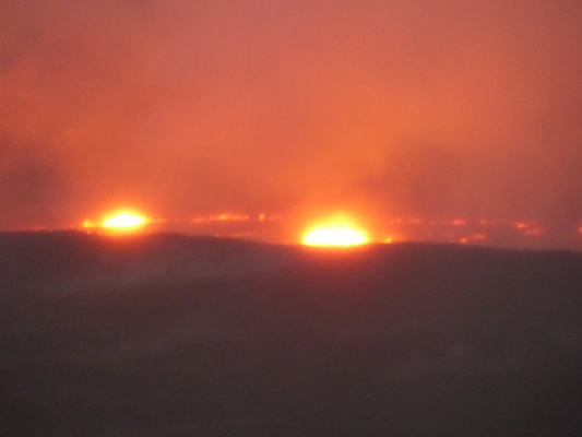 P1060539 (02-18-2017 18:34)