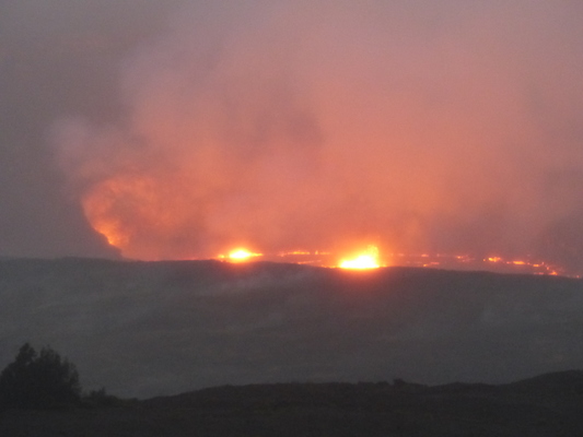 P1060540 (02-18-2017 18:34)