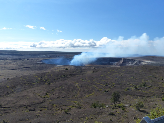 P1060555 (02-19-2017 09:33)