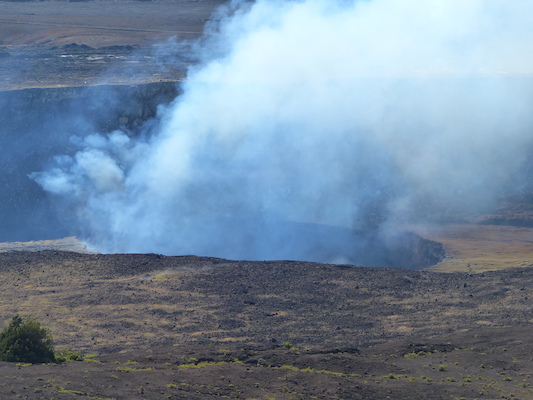 P1060556 (02-19-2017 09:33)