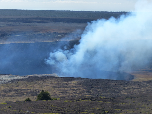 P1060557 (02-19-2017 09:33)