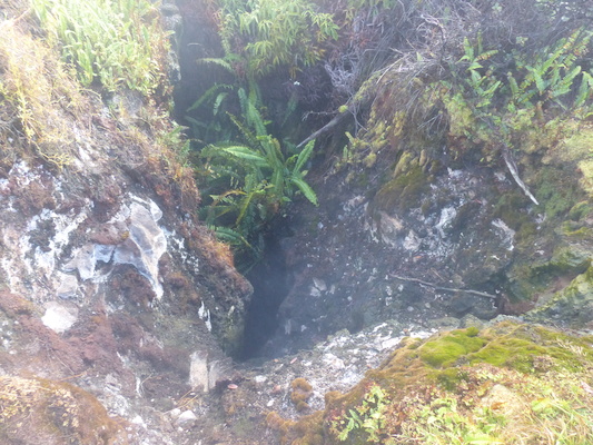 P1060562 (02-19-2017 10:01)