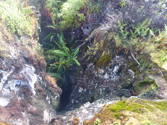 P1060563 (02-19-2017 10:01)