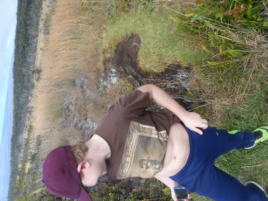 P1060567 (02-19-2017 10:08)