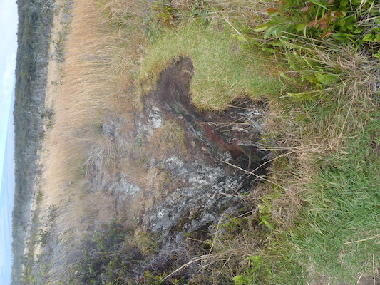 P1060568 (02-19-2017 10:08)