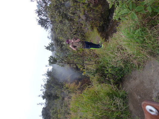 P1060570 (02-19-2017 10:08)