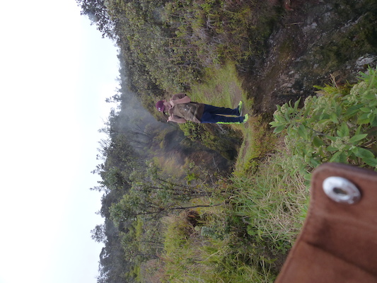 P1060571 (02-19-2017 10:08)