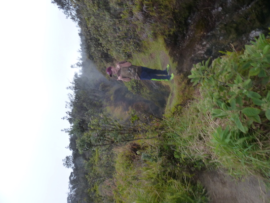 P1060572 (02-19-2017 10:08)