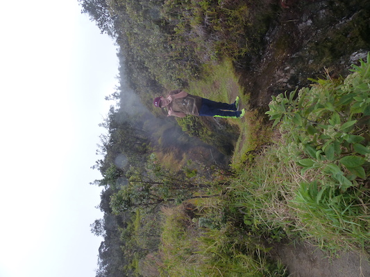 P1060573 (02-19-2017 10:08)