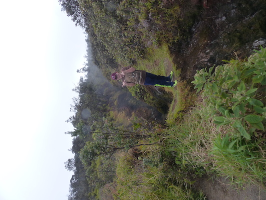 P1060574 (02-19-2017 10:09)