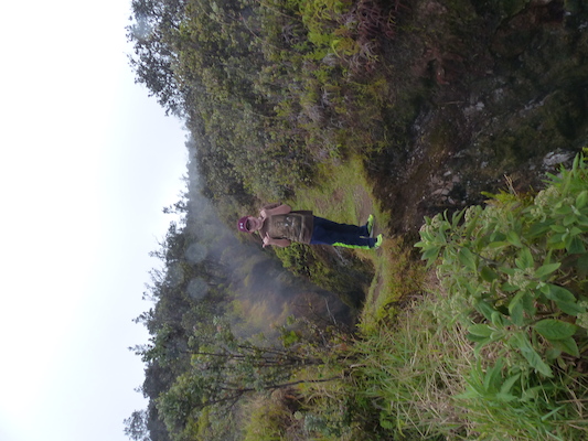 P1060575 (02-19-2017 10:09)