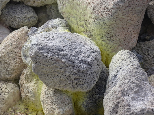 P1060576 (02-19-2017 10:17)