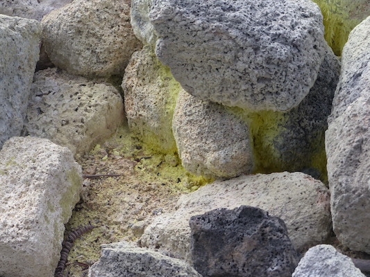 P1060577 (02-19-2017 10:17)