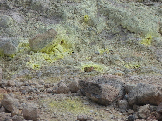 P1060578 (02-19-2017 10:17)