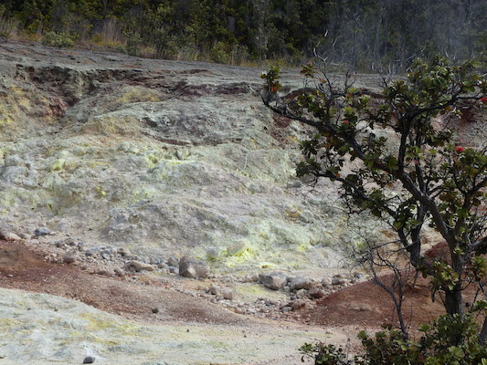 P1060579 (02-19-2017 10:17)