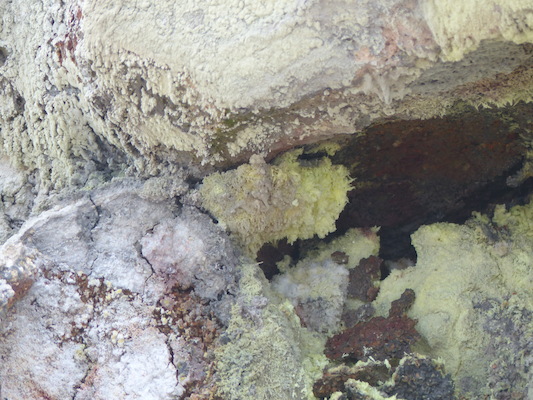 P1060581 (02-19-2017 10:18)