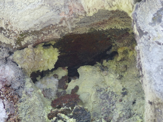 P1060582 (02-19-2017 10:18)