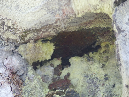 P1060583 (02-19-2017 10:18)