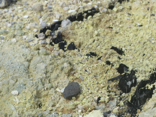 P1060584 (02-19-2017 10:19)