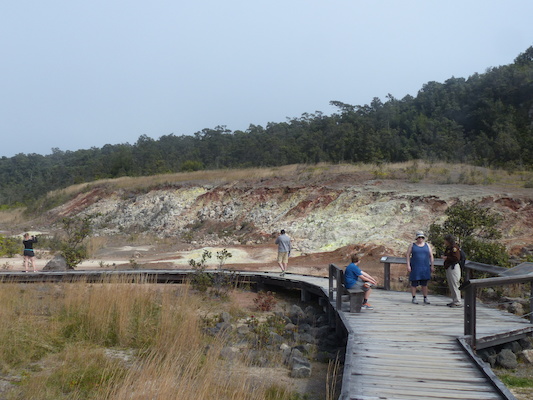 P1060585 (02-19-2017 10:20)