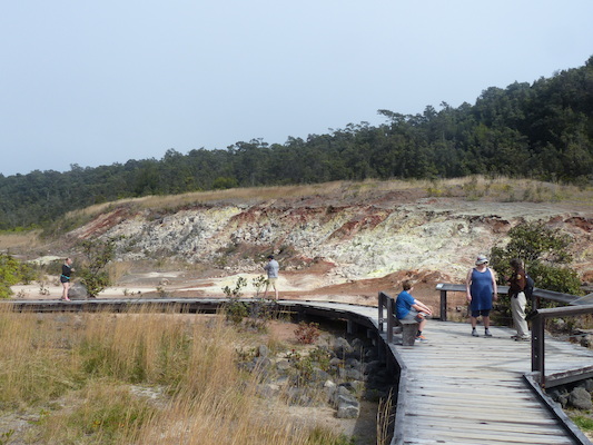 P1060586 (02-19-2017 10:20)