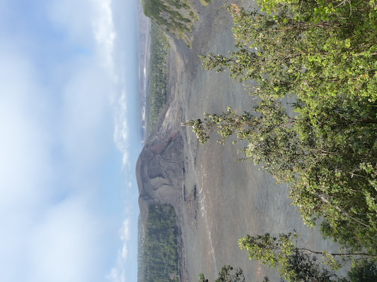 P1060591 (02-19-2017 10:48)