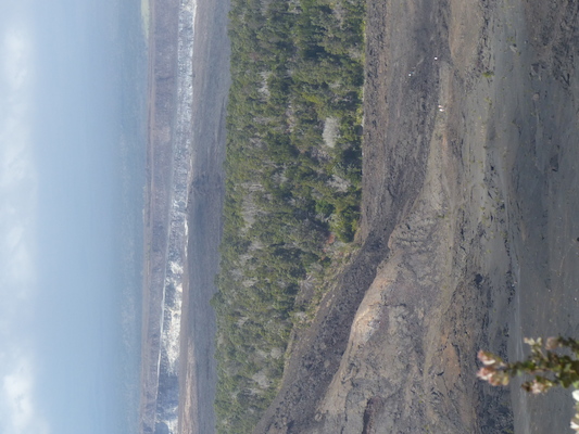 P1060594 (02-19-2017 10:48)