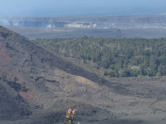 P1060595 (02-19-2017 10:48)