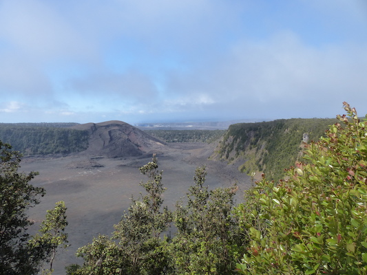 P1060596 (02-19-2017 10:48)