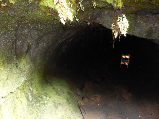 P1060597 (02-19-2017 11:04)