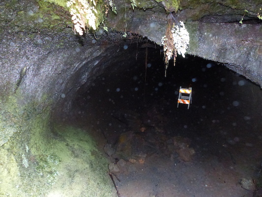 P1060598 (02-19-2017 11:04)