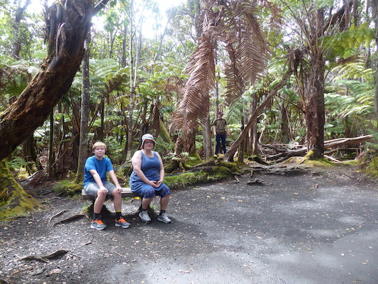 P1060599 (02-19-2017 11:05)