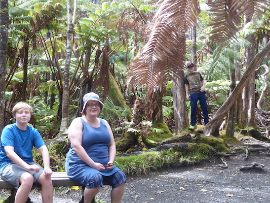 P1060600 (02-19-2017 11:05)