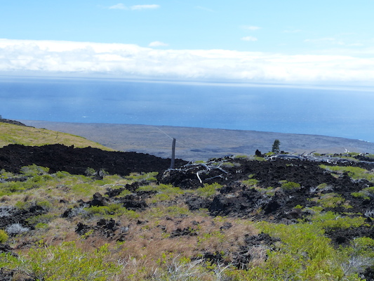 P1060601 (02-19-2017 11:54)