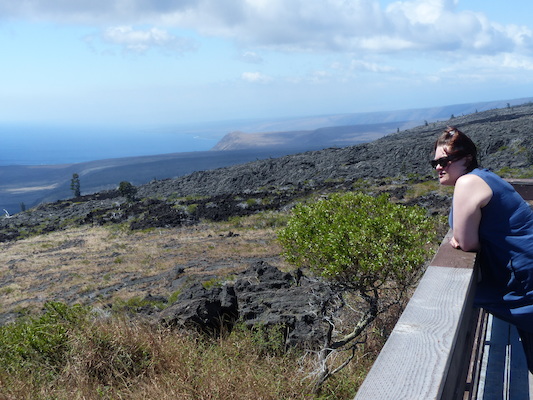 P1060602 (02-19-2017 11:54)