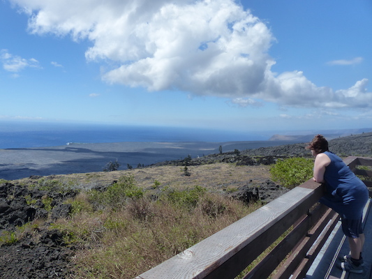 P1060603 (02-19-2017 11:54)