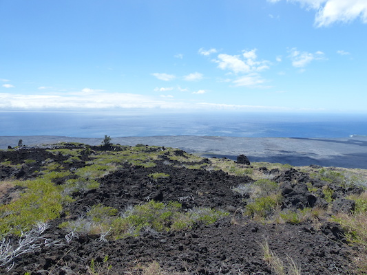 P1060604 (02-19-2017 11:54)