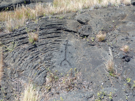 P1060606 (02-19-2017 12:28)