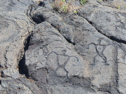 P1060607 (02-19-2017 12:28)