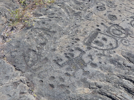 P1060610 (02-19-2017 12:29)