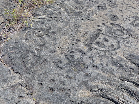 P1060611 (02-19-2017 12:29)