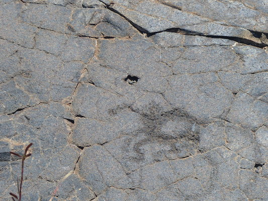 P1060612 (02-19-2017 12:30)