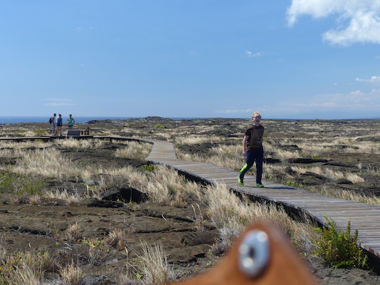 P1060614 (02-19-2017 12:30)