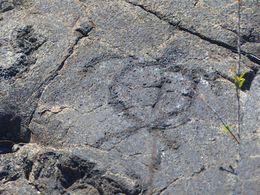 P1060615 (02-19-2017 12:32)